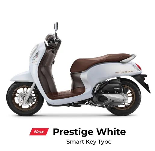 prestige-white-5-31102022-074737